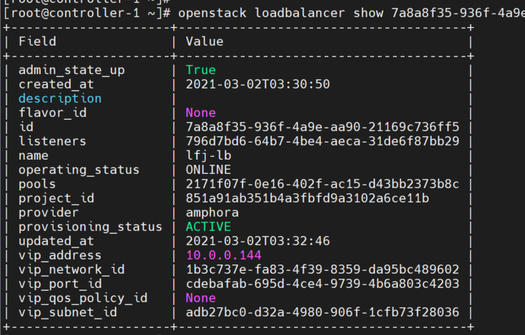 image-20210302181609960