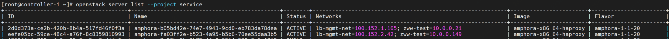 image-20210302182010345