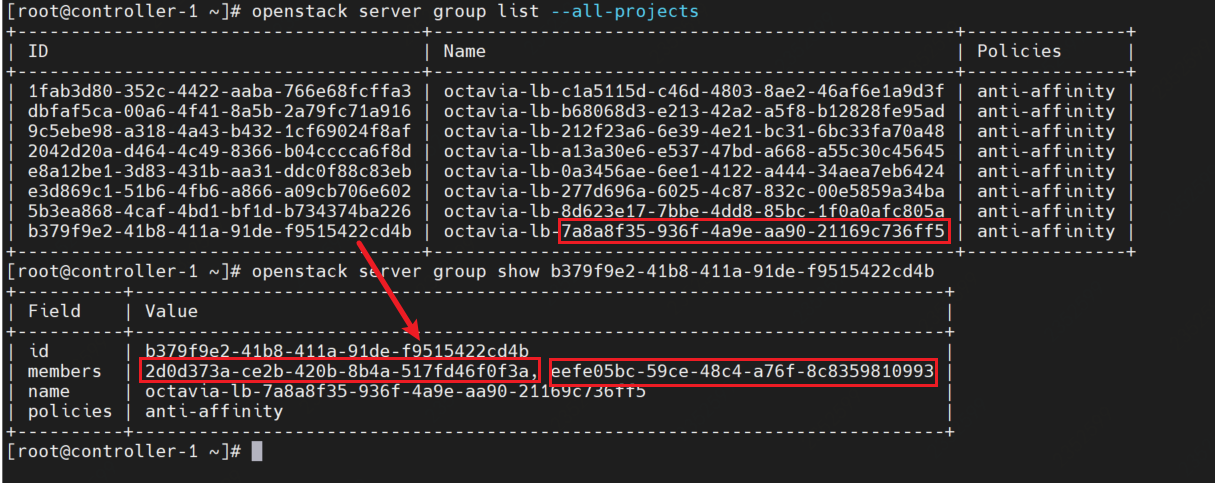 image-20210303152421902