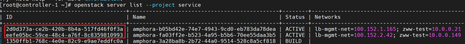 image-20210303152448987